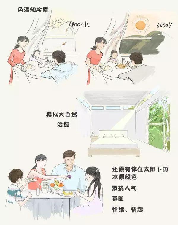 家里的筒燈、射燈、軌道燈，怎樣布局才合理？